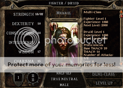 th_CordruidsMichaelsearlyBG1stats_zps399