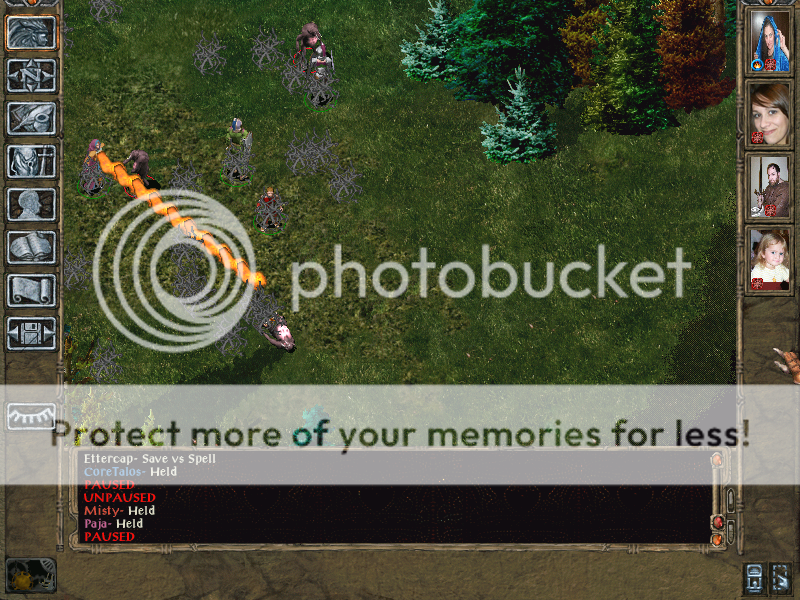 Coretalosentirepartystuckinwebwithetterc