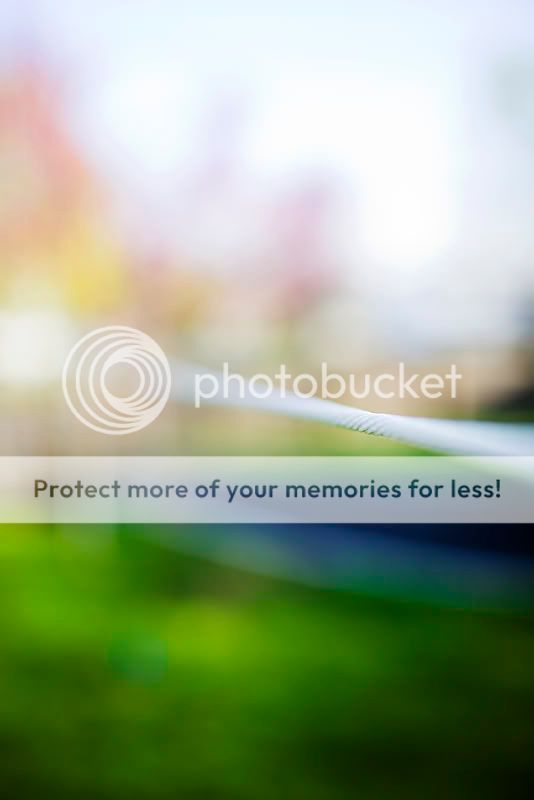 IMAGE: http://i550.photobucket.com/albums/ii411/Lodzinskiw/Bokeh.jpg