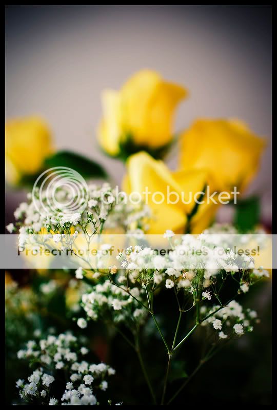IMAGE: http://i550.photobucket.com/albums/ii411/Lodzinskiw/BouquetFlowers.jpg