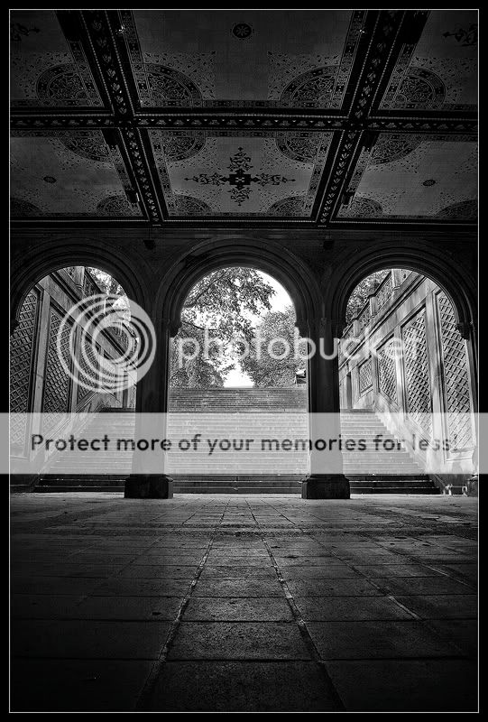 IMAGE: http://i550.photobucket.com/albums/ii411/Lodzinskiw/CentralParkUnder.jpg