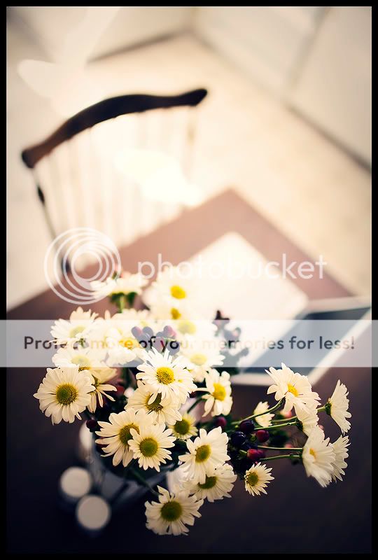 IMAGE: http://i550.photobucket.com/albums/ii411/Lodzinskiw/Dreams2.jpg