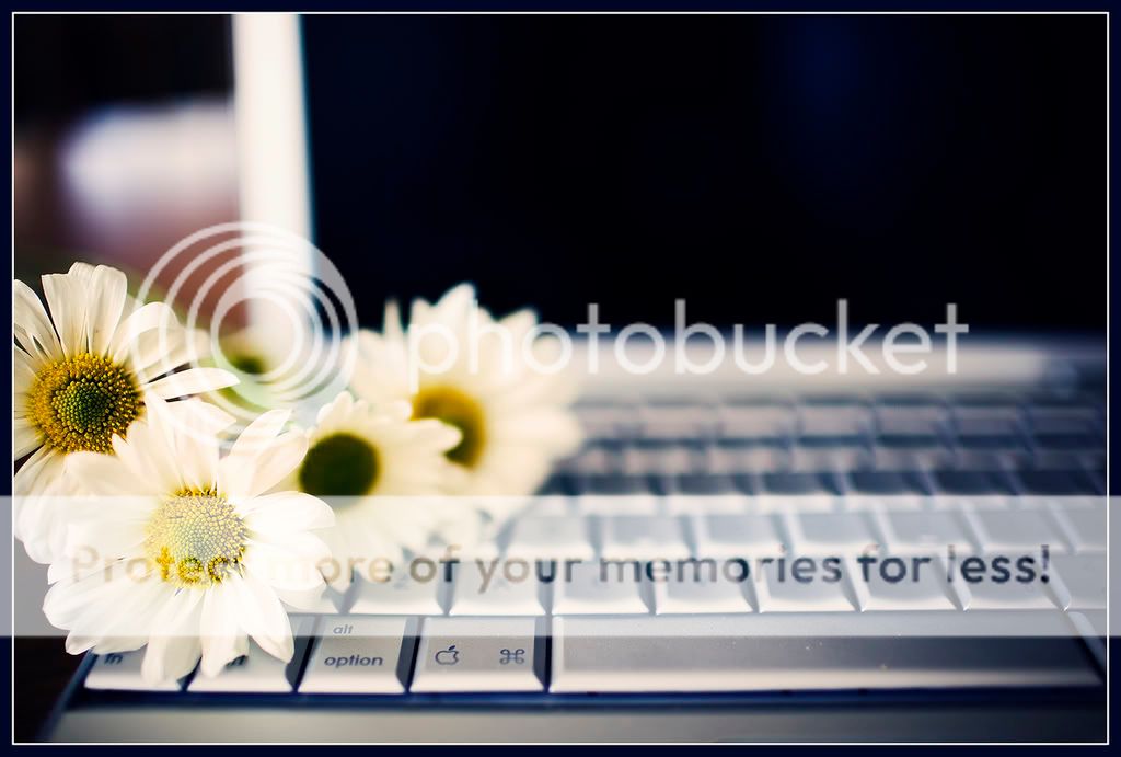 IMAGE: http://i550.photobucket.com/albums/ii411/Lodzinskiw/Flower.jpg