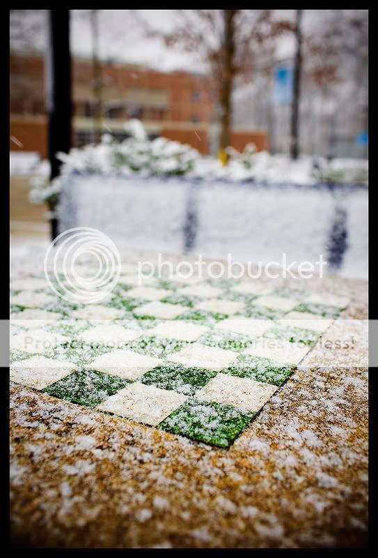 IMAGE: http://i550.photobucket.com/albums/ii411/Lodzinskiw/KeanChess.jpg