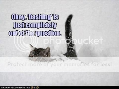  photo dashing_zps138915cd.jpg