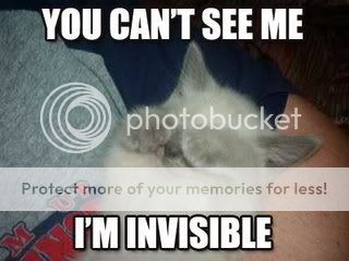  photo invisible.jpg