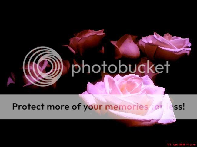 Rosas.jpg