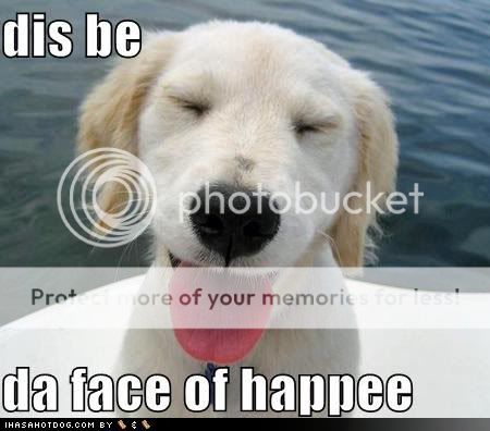 Can You Donate Open Dog Food Can You Donate Open Dog Food